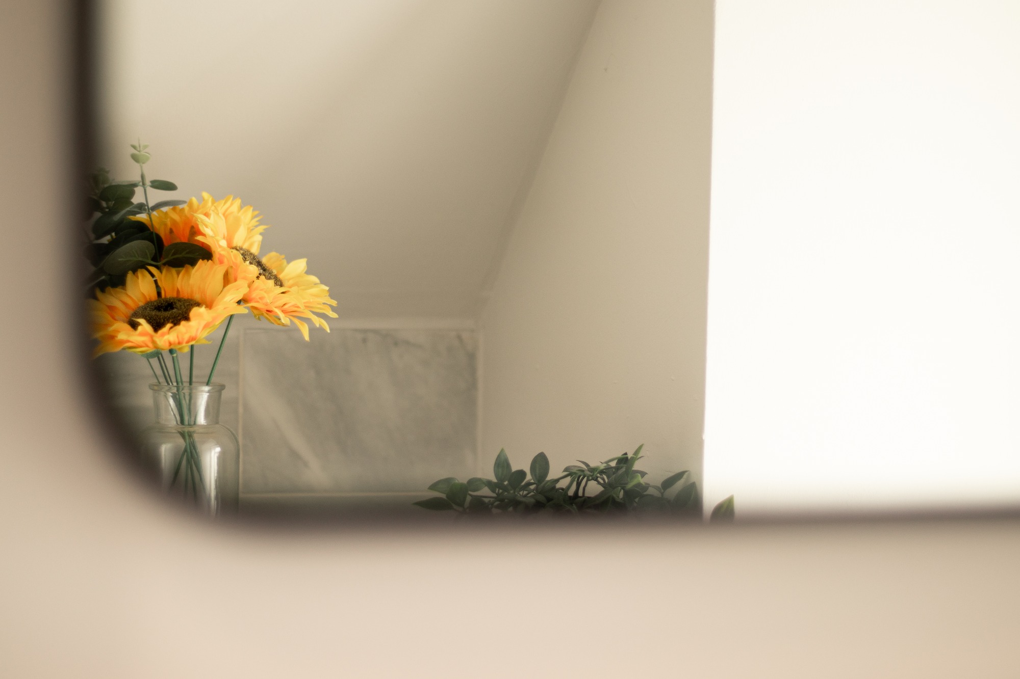 Vase with sunflowers in left corner against a wall