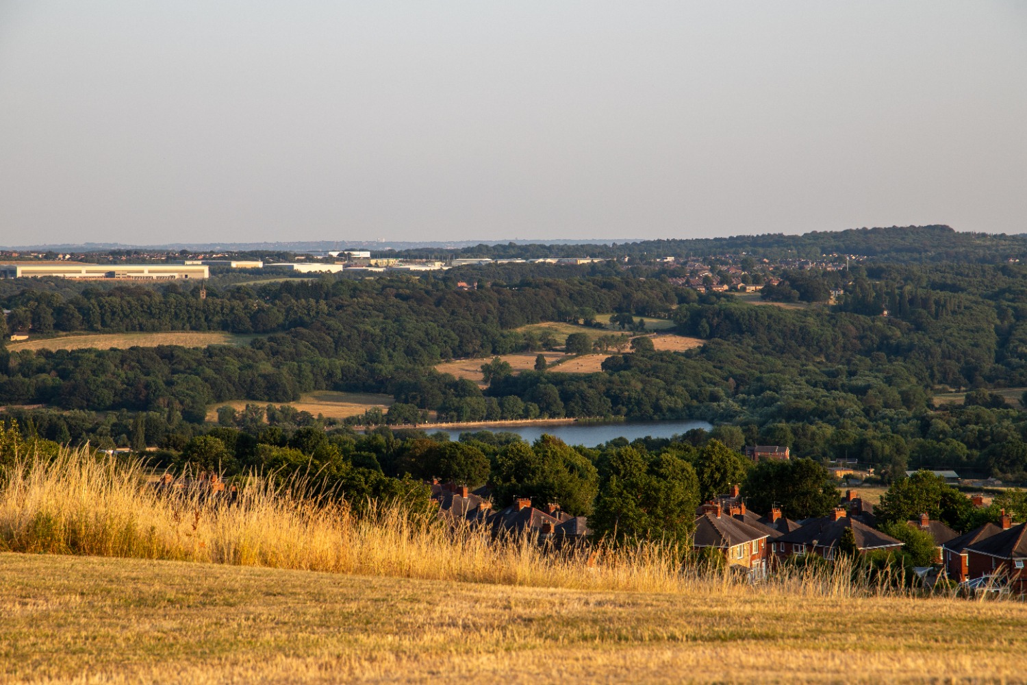 Landscape view of fields and houses with a lake in the distance